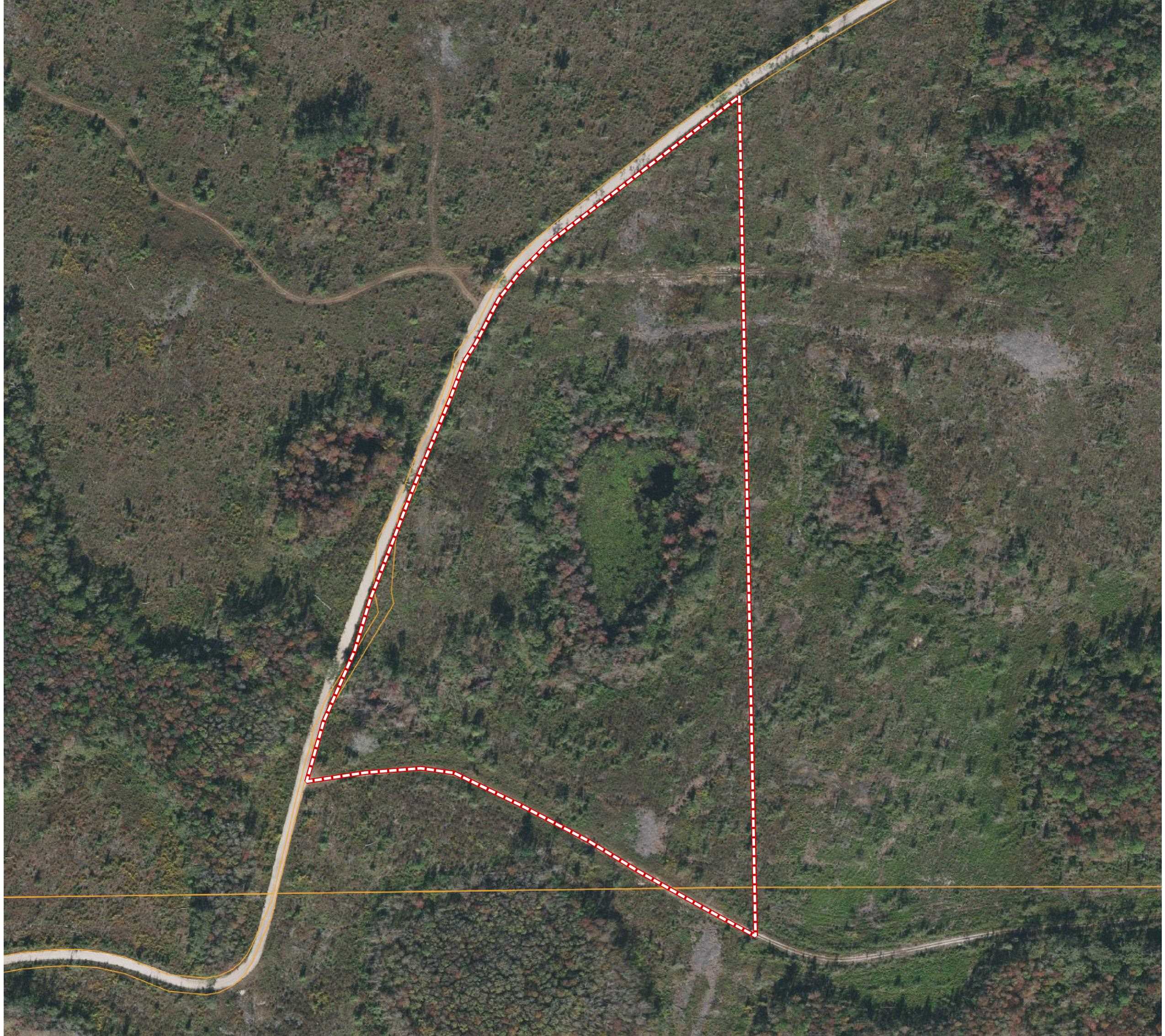 Cemetery Road Lamont, FL 32336 - Photo 26 of 28 Gallery Image 26