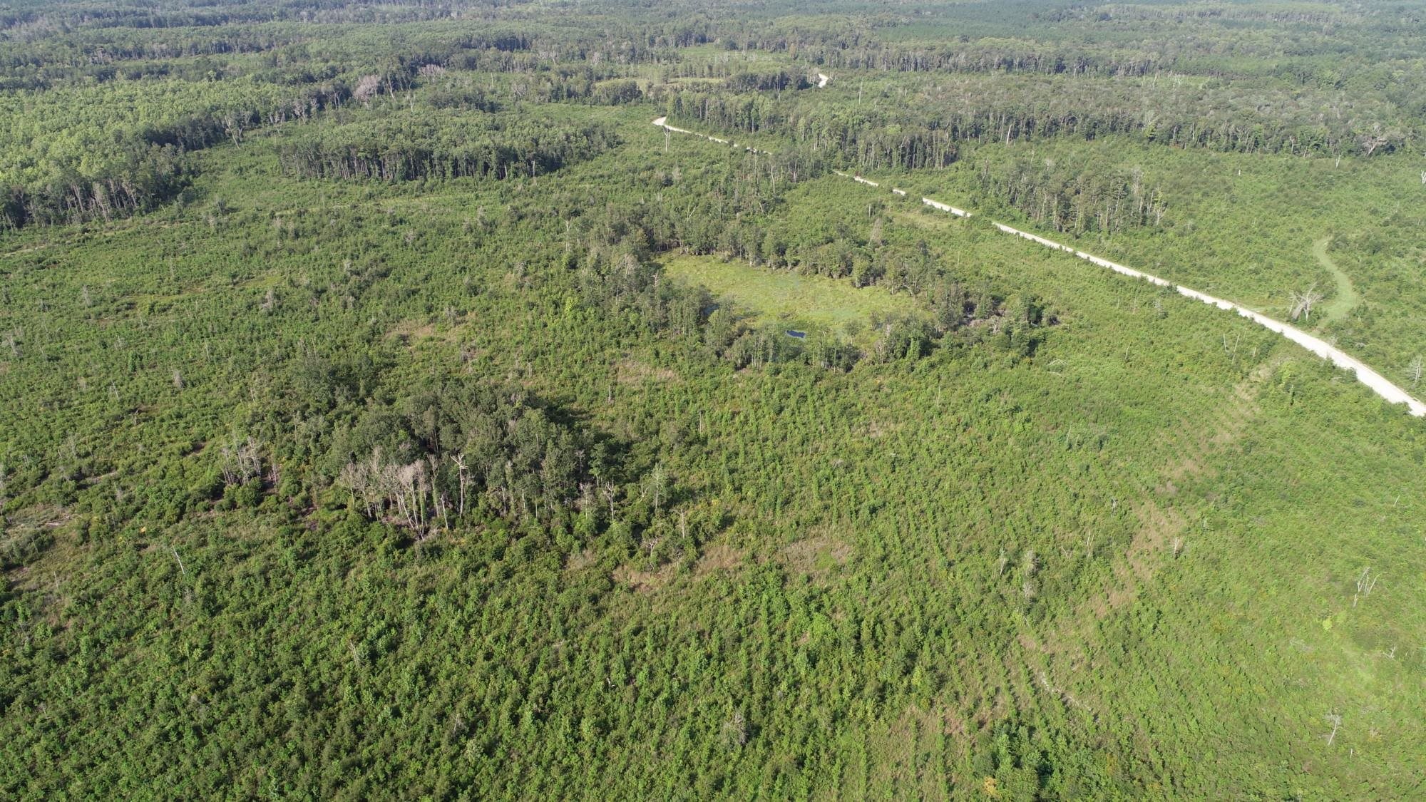 Cemetery Road Lamont, FL 32336 - Photo 27 of 28 Gallery Image 27