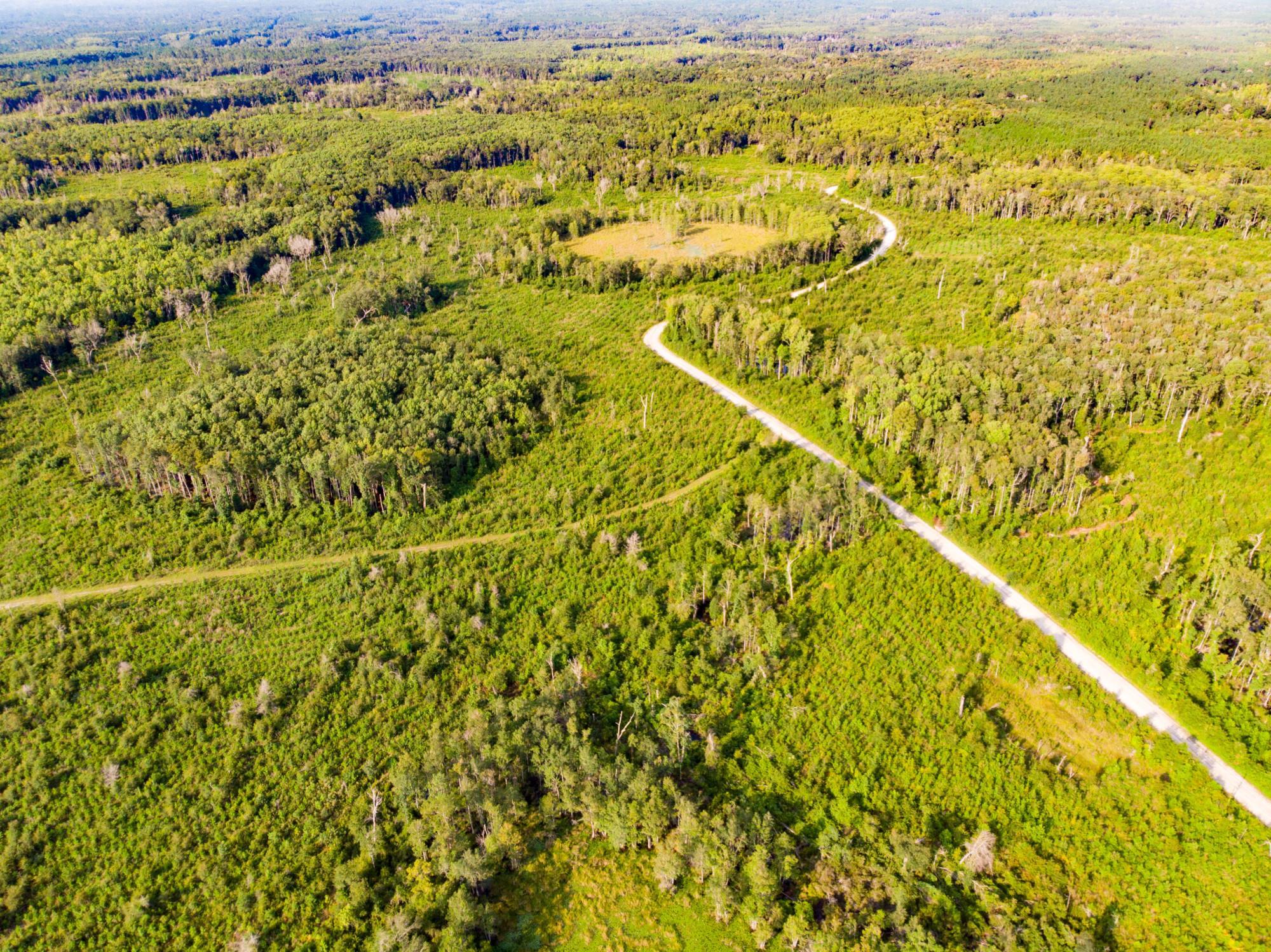 Cemetery Road Lamont, FL 32336 - Photo 6 of 28 Gallery Image 6