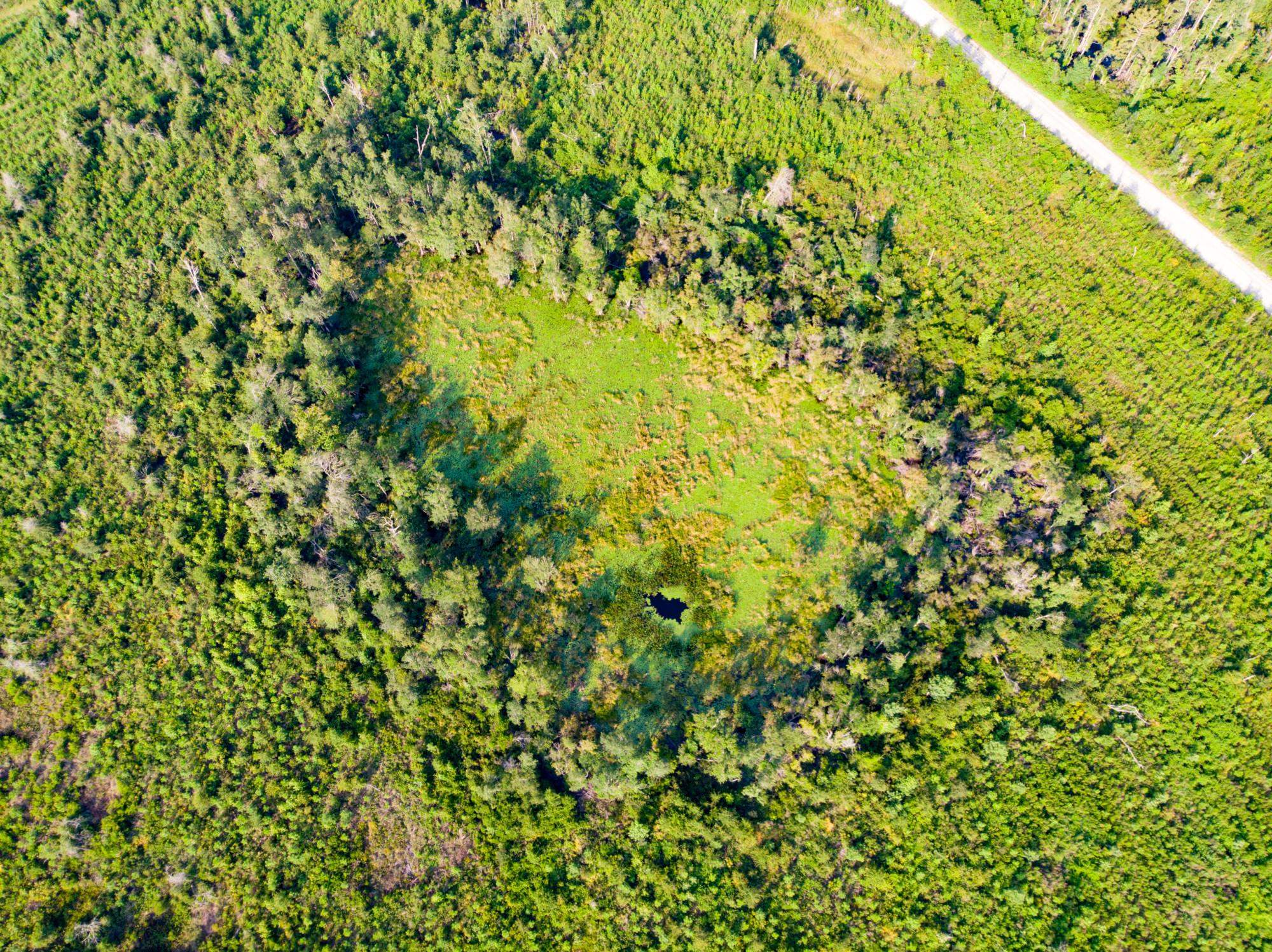 Cemetery Road Lamont, FL 32336 - Photo 7 of 28 Gallery Image 7