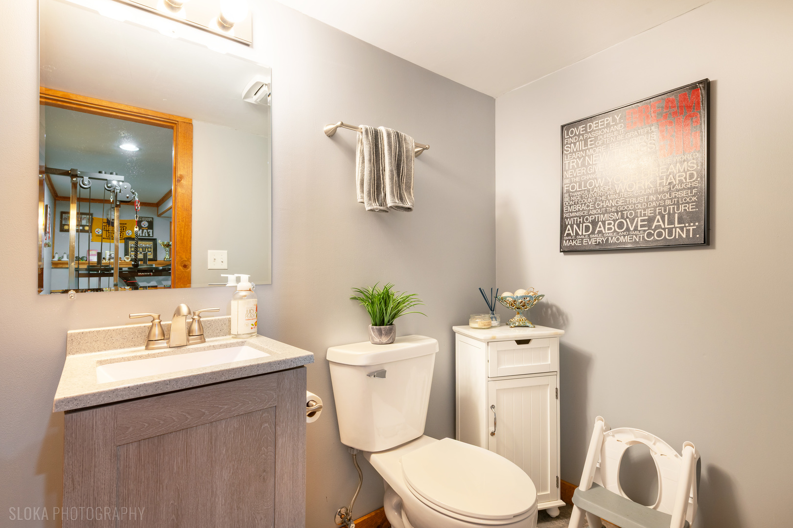 1259 Chickory Ridge Trail Cary, IL 60013 - Photo 26 of 31 a bathroom with a sink mirror and a toilet