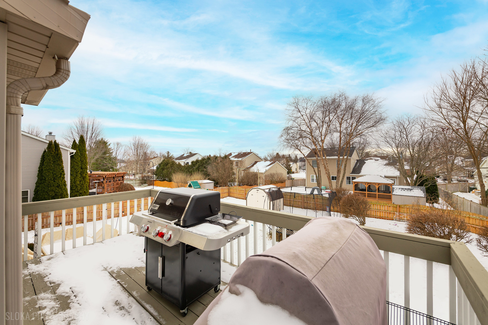 1259 Chickory Ridge Trail Cary, IL 60013 - Photo 27 of 31 a view of a city from a balcony