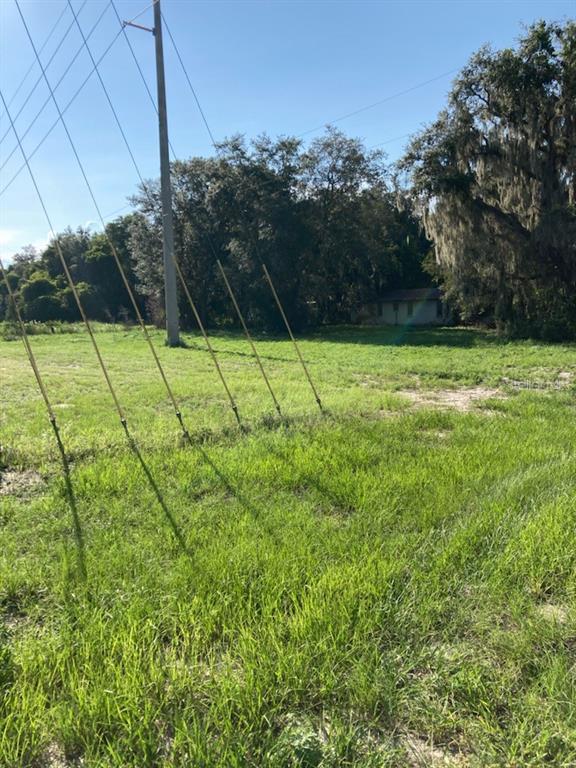 34511 Radio Road Leesburg, FL 34788 - Photo 1 of 1 Gallery Image 1