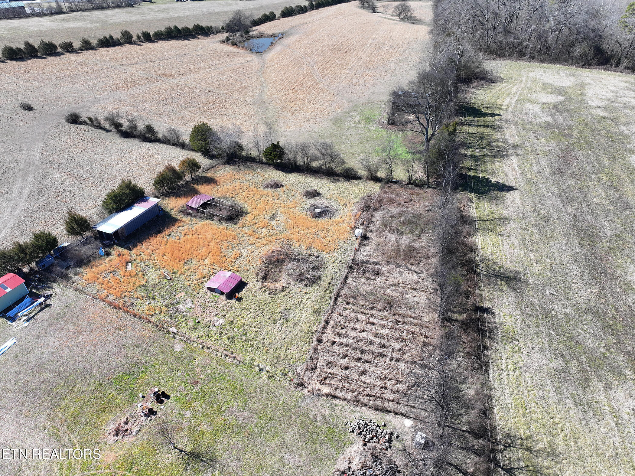 6644 Highway 92 Rutledge, TN 37861 - Photo 12 of 38 DJI_20260216131858_0270_D