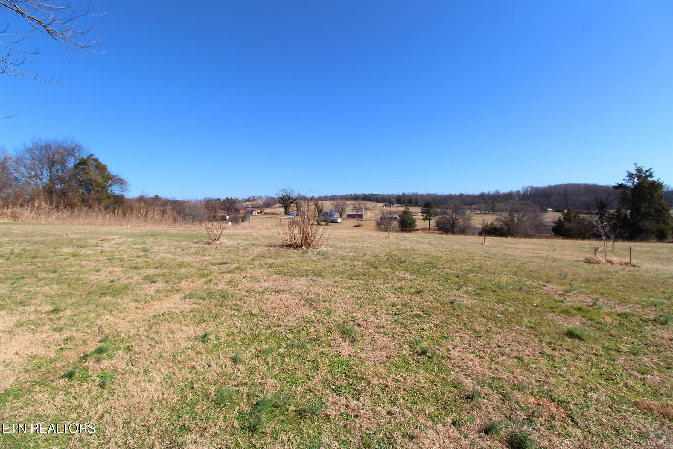 6644 Highway 92 Rutledge, TN 37861 - Photo 38 of 38 IMG_9726