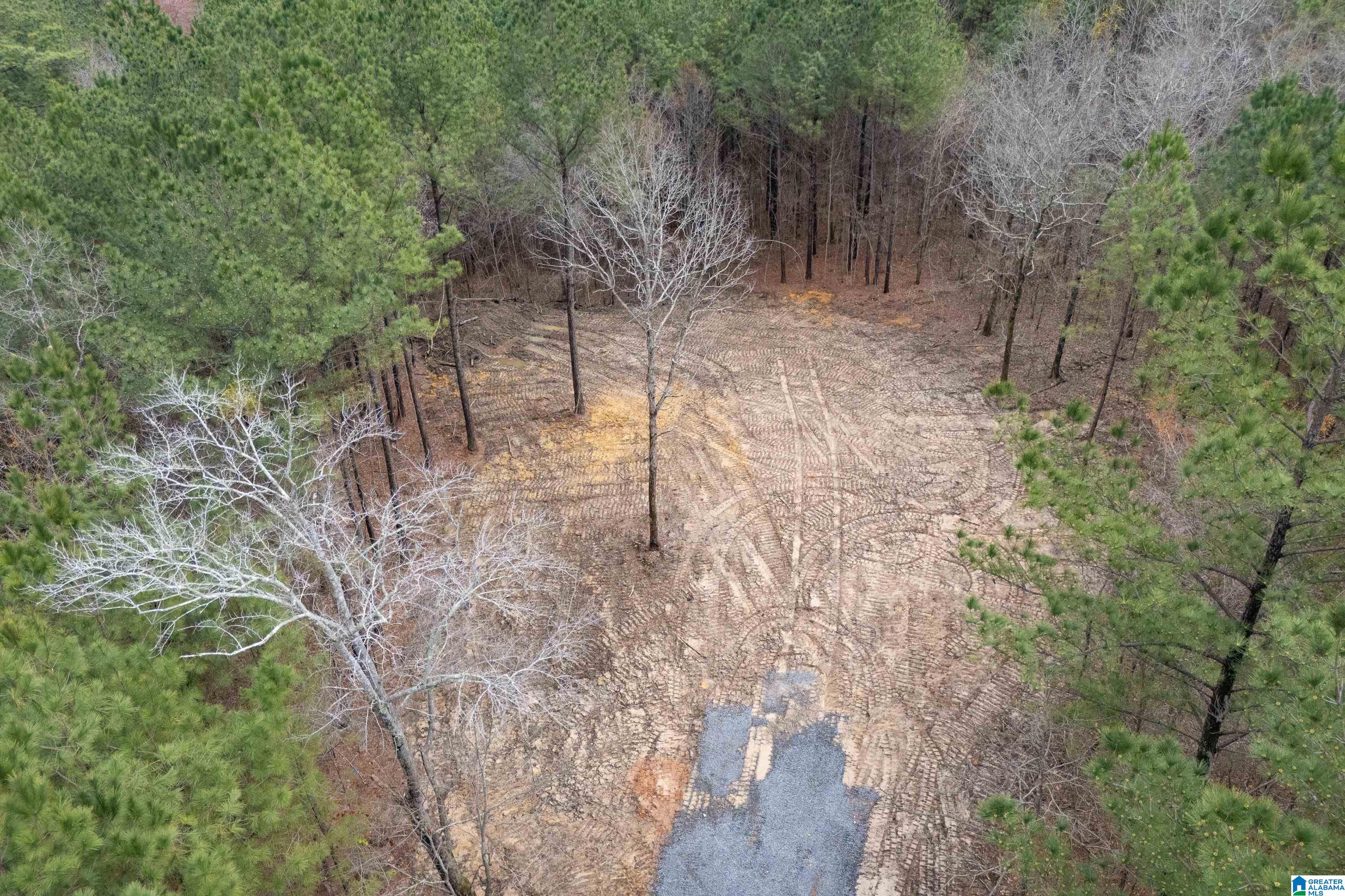 7 Fisher Phillips, Unit 7 Ashville, AL 35953 - Photo 25 of 28
