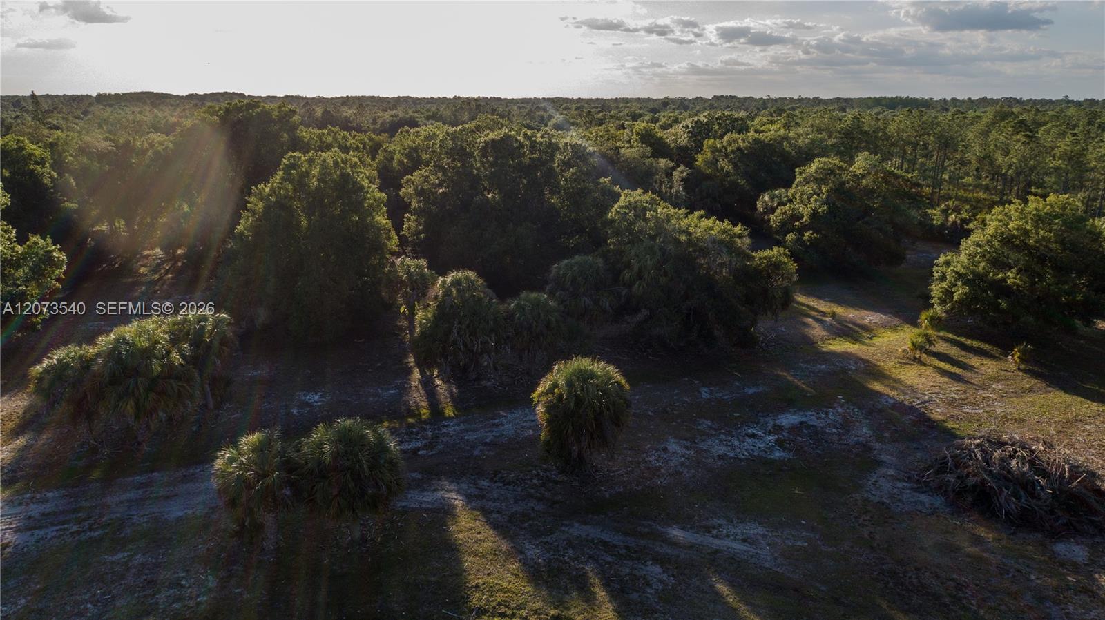 3880 Packinghouse Road Alva, FL 33920 - Photo 7 of 26 3880 Packinghouse Rd, Alva FL 33920