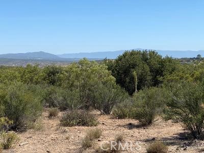 19 Higgins Road Anza, CA 92539 - Photo 13 of 18