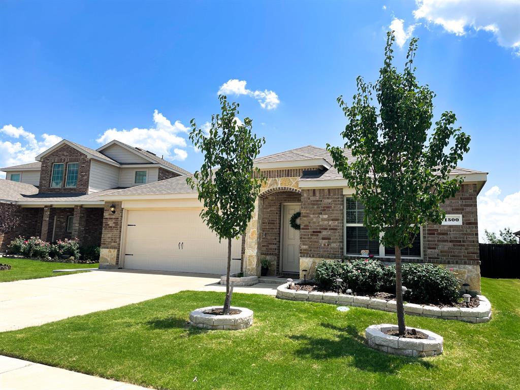 1500 Granite Path Princeton, TX 75407 - Photo 2 of 16