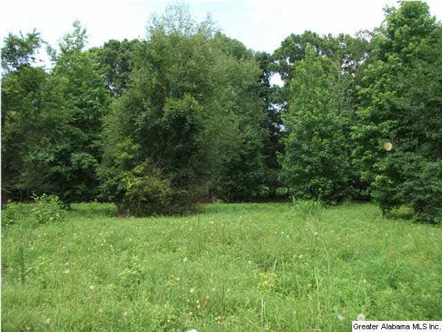 124 Farmstead Road, Unit 1 Wilsonville, AL 35186 - Photo 1 of 1