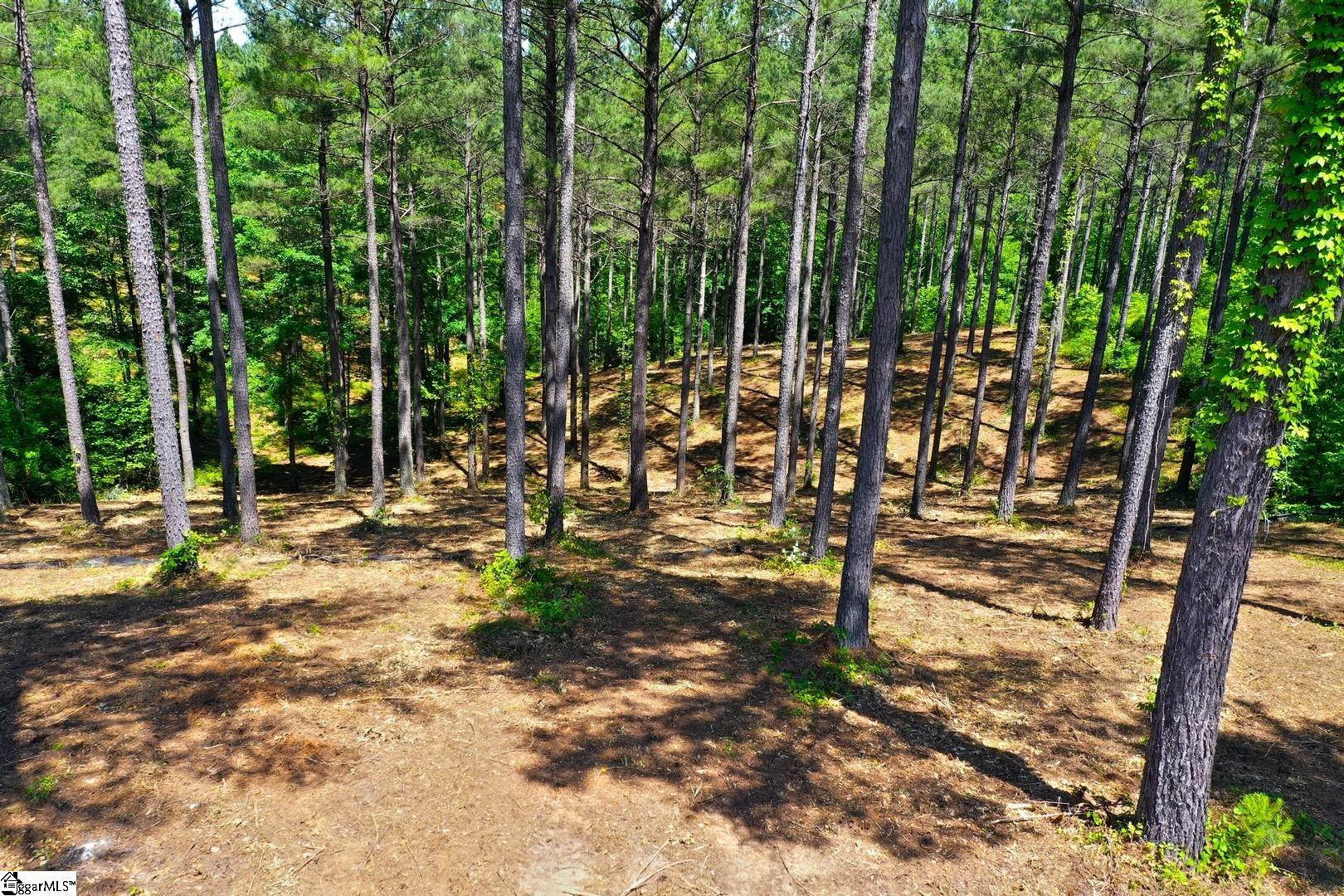 48 Highlands Ridge Road Salem, SC 29676 - Photo 15 of 30 Gallery Image 15