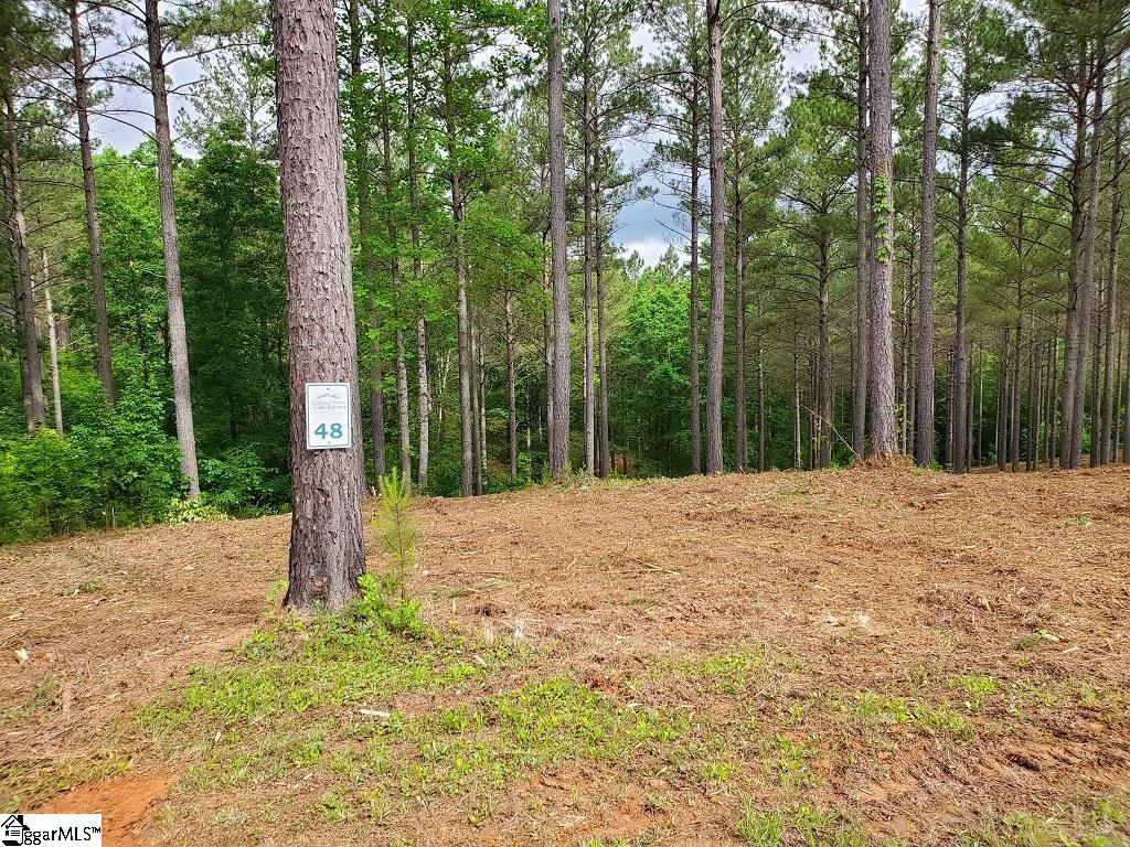 48 Highlands Ridge Road Salem, SC 29676 - Photo 17 of 30 Gallery Image 17