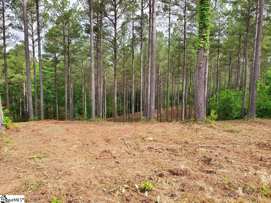 48 Highlands Ridge Road Salem, SC 29676 - Photo 18 of 30 Gallery Image 18