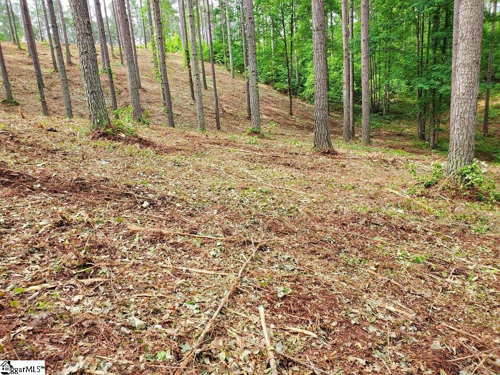 48 Highlands Ridge Road Salem, SC 29676 - Photo 23 of 30 Gallery Image 23
