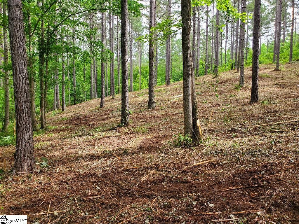 48 Highlands Ridge Road Salem, SC 29676 - Photo 24 of 30 Gallery Image 24