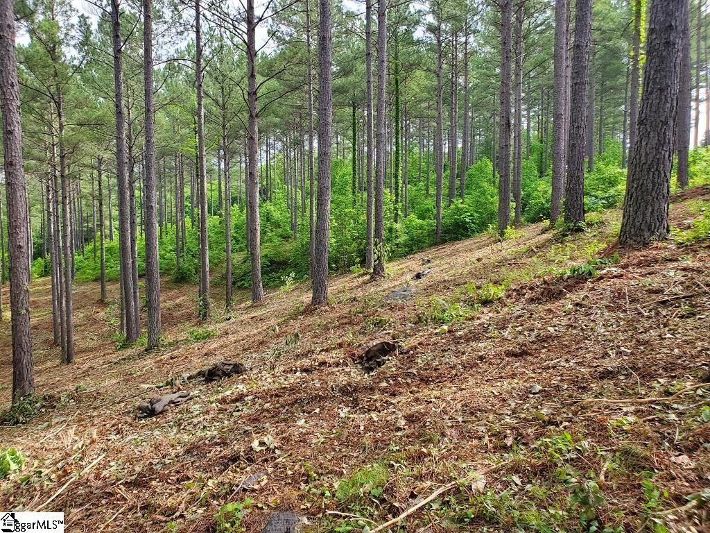 48 Highlands Ridge Road Salem, SC 29676 - Photo 25 of 30 Gallery Image 25