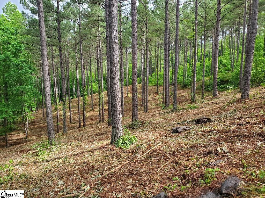 48 Highlands Ridge Road Salem, SC 29676 - Photo 26 of 30 Gallery Image 26