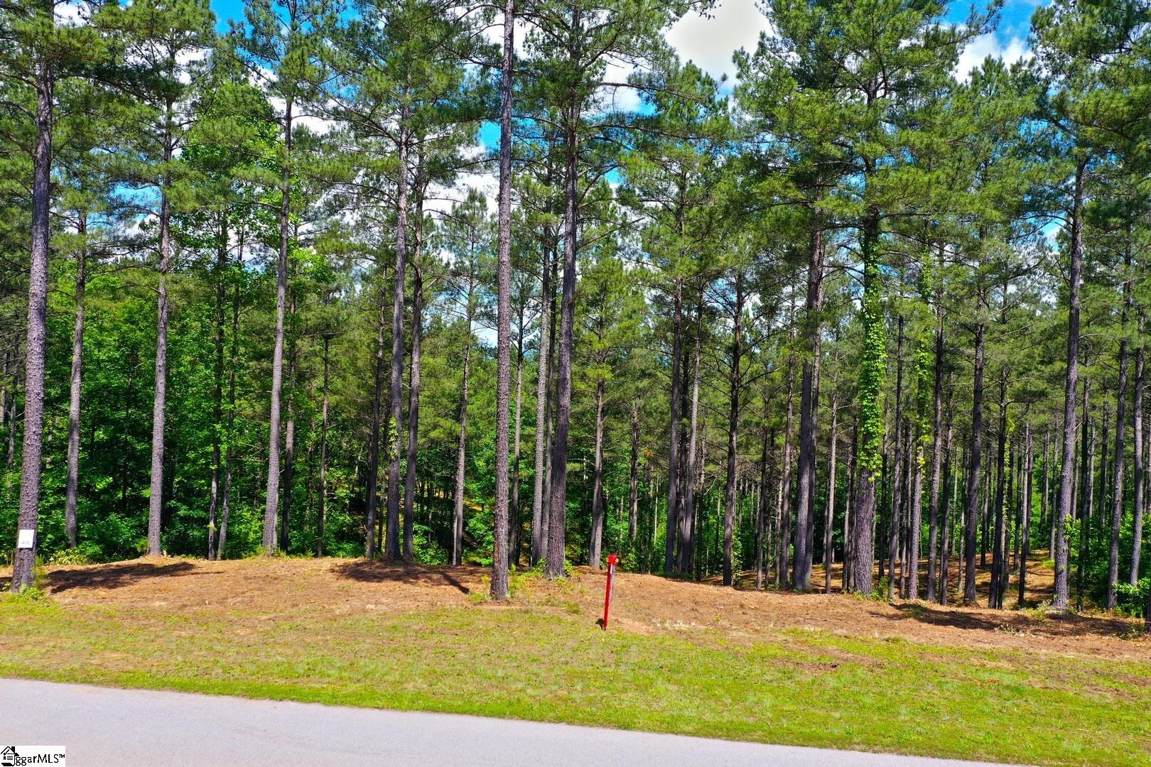 48 Highlands Ridge Road Salem, SC 29676 - Photo 9 of 30 Gallery Image 9