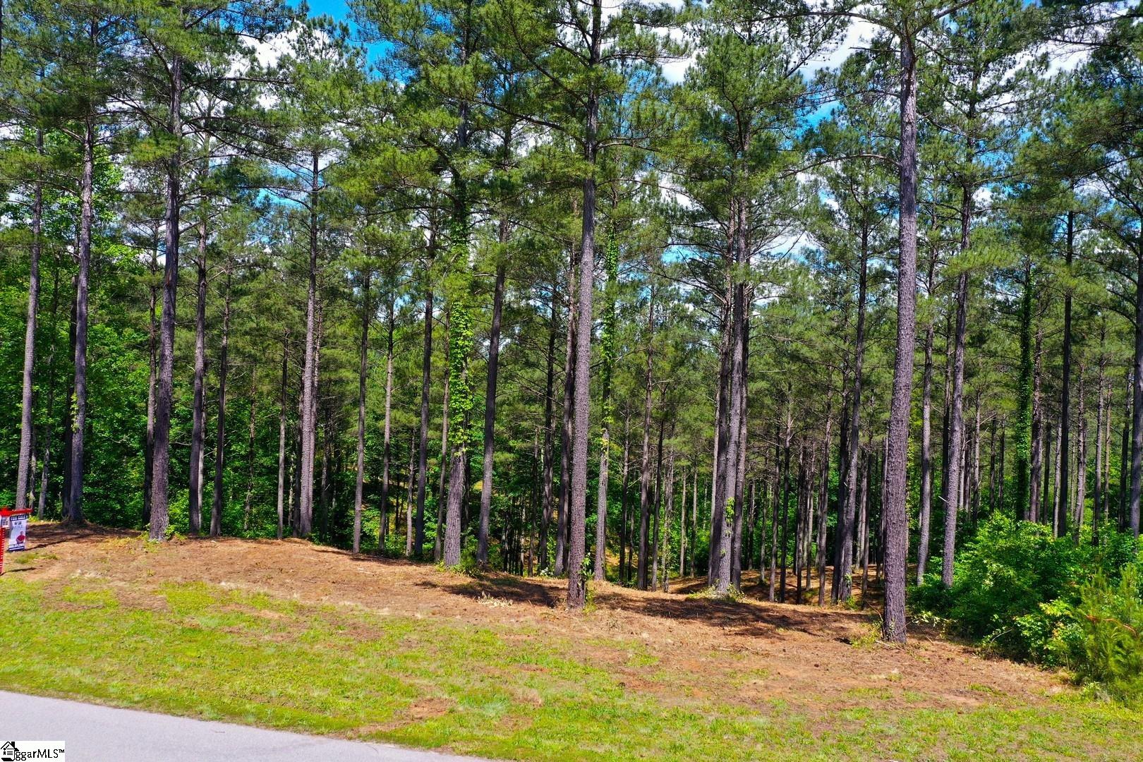 48 Highlands Ridge Road Salem, SC 29676 - Photo 10 of 30 Gallery Image 10