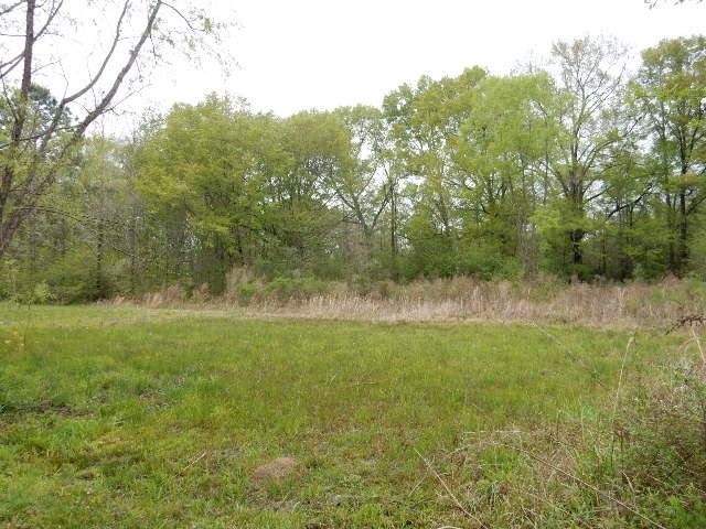 523 Ephesus Road Forest, MS 39074 - Photo 36 of 39 Photo 36