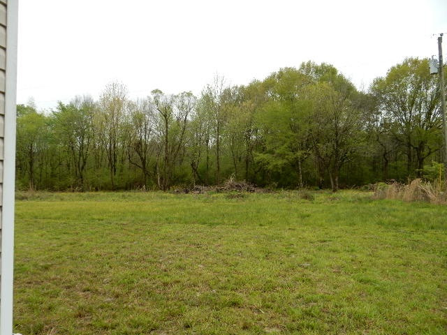 523 Ephesus Road Forest, MS 39074 - Photo 5 of 39 Photo 5