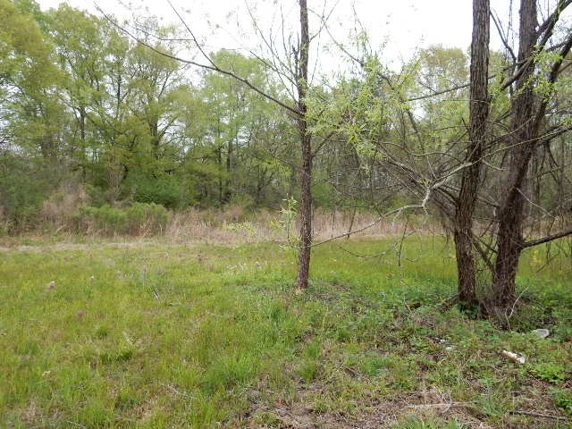 523 Ephesus Road Forest, MS 39074 - Photo 7 of 39 Photo 7