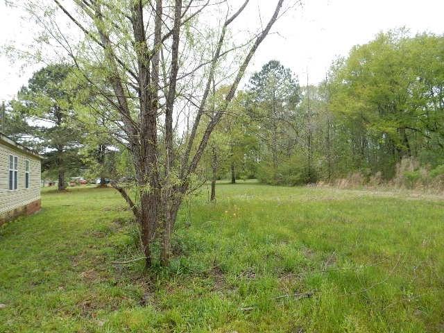 523 Ephesus Road Forest, MS 39074 - Photo 9 of 39 Photo 9