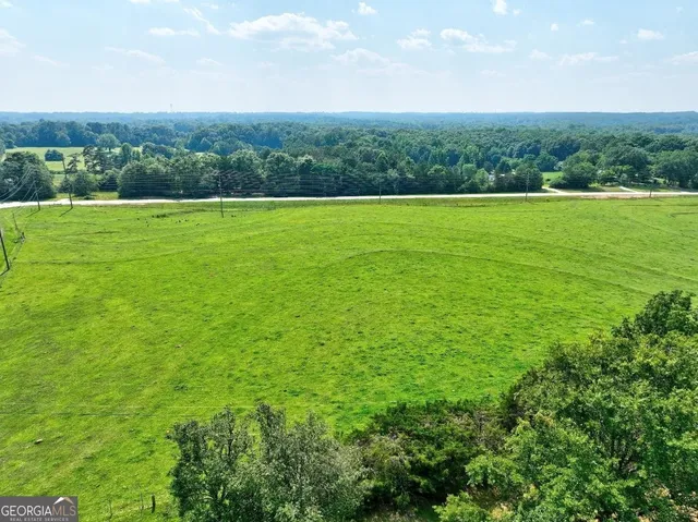 $2,800,000 | 0 Peeksville Road, Locust Grove, GA 30248