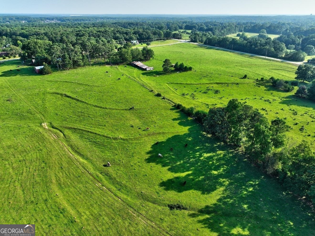 0 Peeksville Road Locust Grove, GA 30248 - Photo 7 of 13