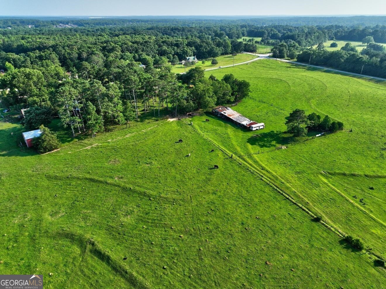 0 Peeksville Road Locust Grove, GA 30248 - Photo 8 of 13
