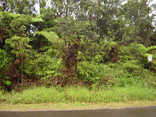 572 Alaula Street Volcano, HI 96785 - Photo 3 of 5 Gallery Image 3