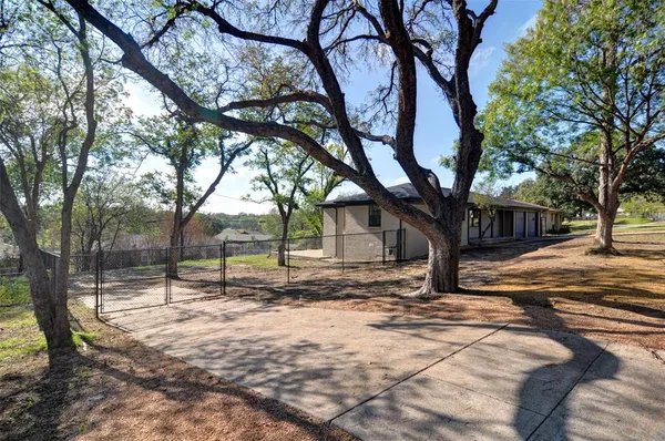 a view of a yard with a tree