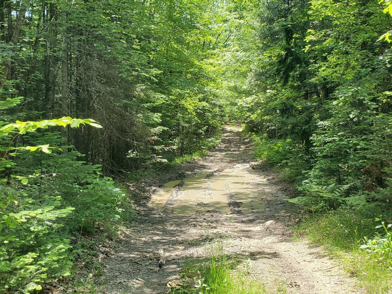 0 Morgan Road Burnham, ME 04922 - Photo 14 of 69 20250617_123932