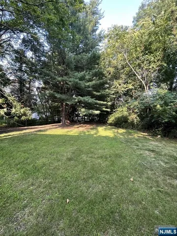 a view of yard with green space
