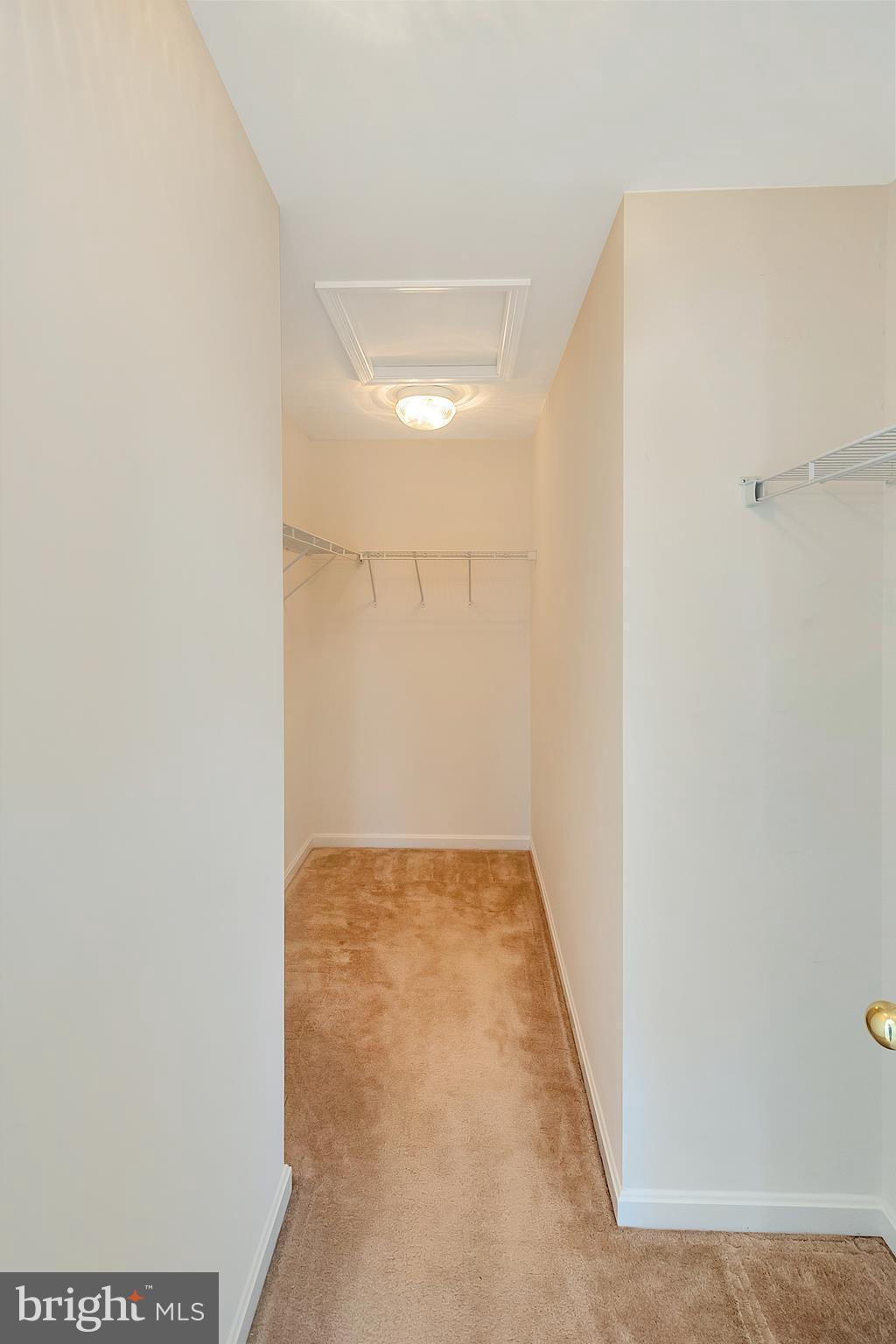 625 Hunters Road Culpeper, VA 22701 - Photo 16 of 30 Large walk in closet is a dream!