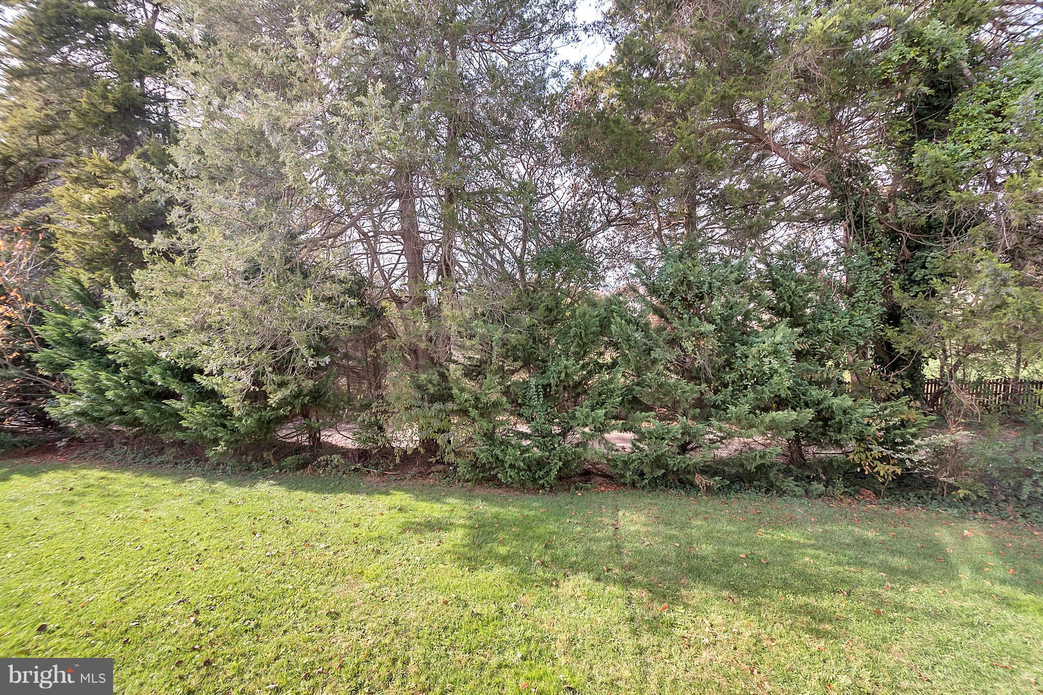 625 Hunters Road Culpeper, VA 22701 - Photo 27 of 30 Nice yard with tree line for privacy.