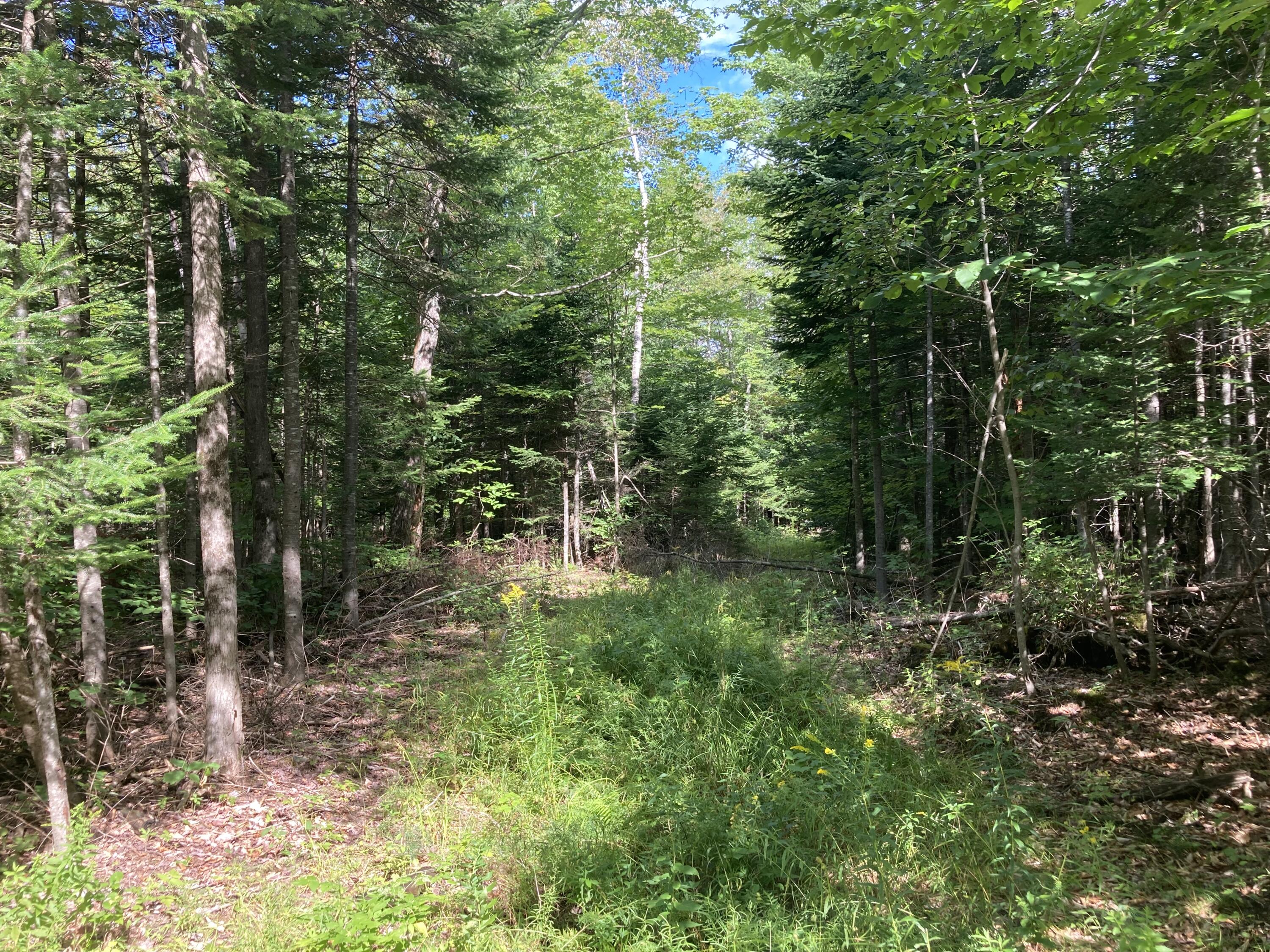 45 Benoak Road Wilton, ME 04294 - Photo 22 of 25 1BF2F722-47F9-4576-B67B-1BAD4052F303