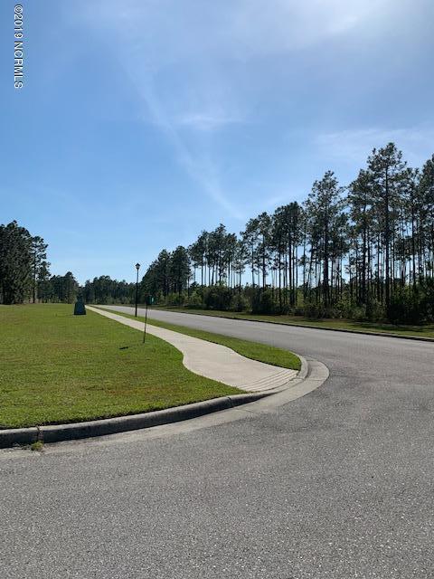 7041 Trailhead Road Leland, NC 28451 - Photo 61 of 74 IMG_2286