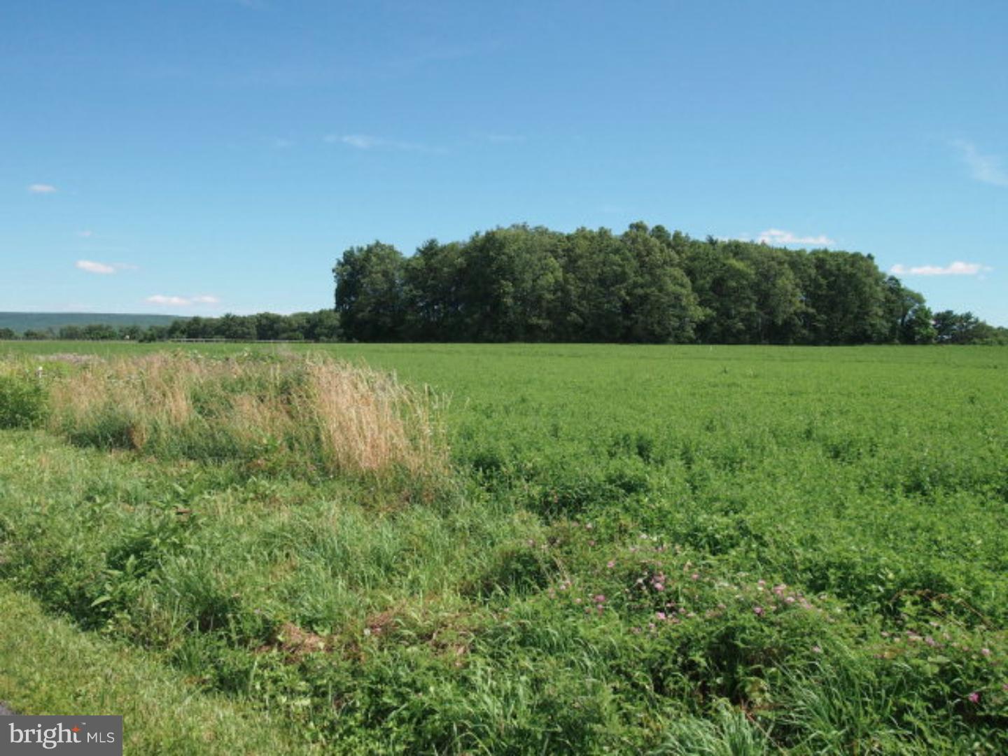 Lot 4 Farm View Road Schuylkill Haven, PA 17972 - Photo 5 of 10 Gallery Image 5