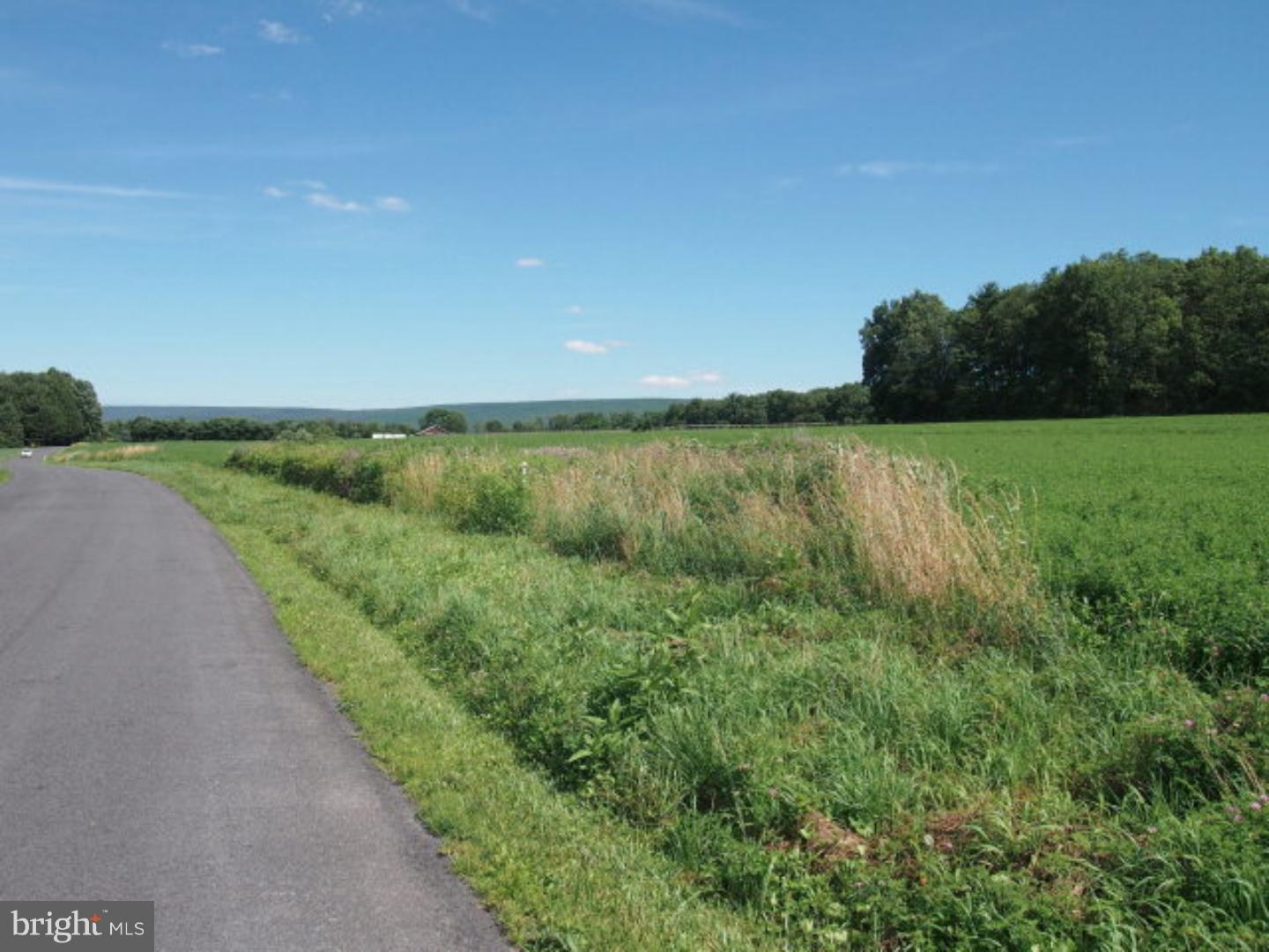 Lot 4 Farm View Road Schuylkill Haven, PA 17972 - Photo 8 of 10 Gallery Image 8