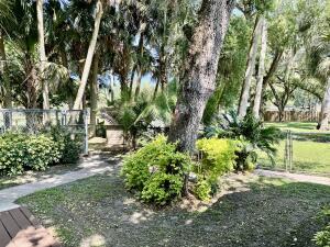 1515 Southwest 19th Terrace Okeechobee, FL 34974 - Photo 38 of 39 a view of a garden with a tree