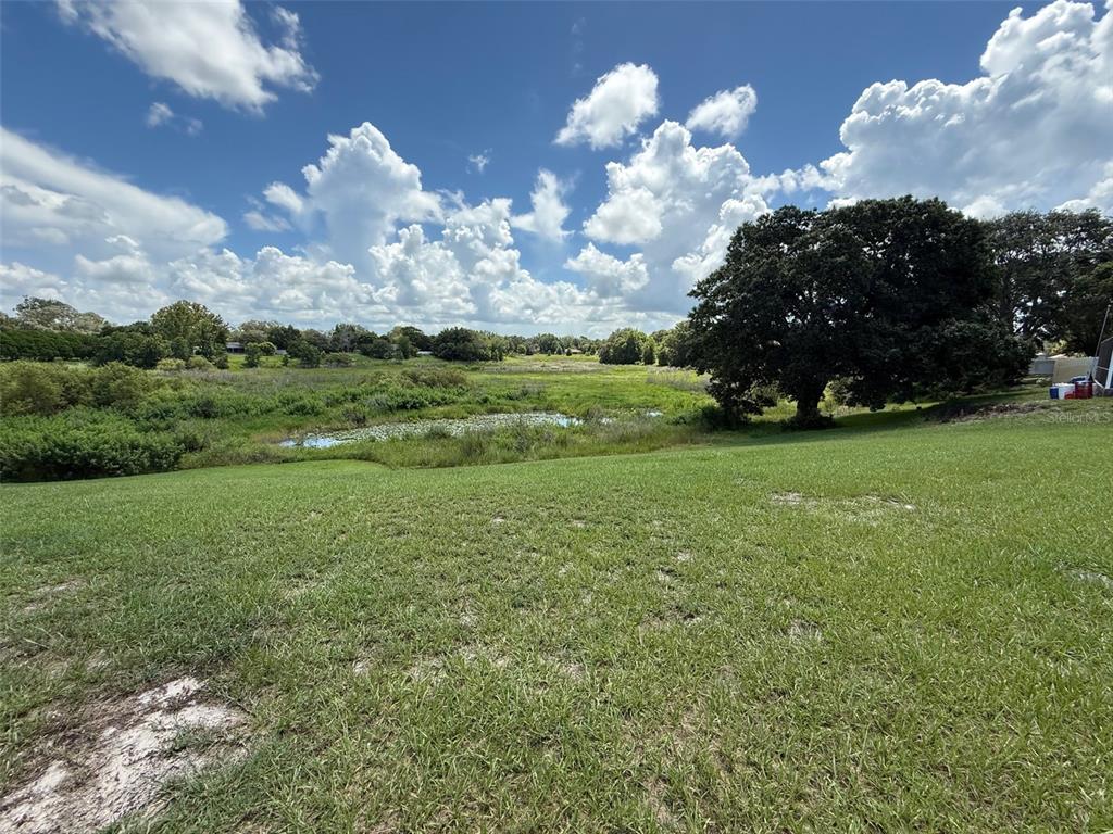 7319 Holiday Drive Spring Hill, FL 34606 - Photo 17 of 20 a view of a green field
