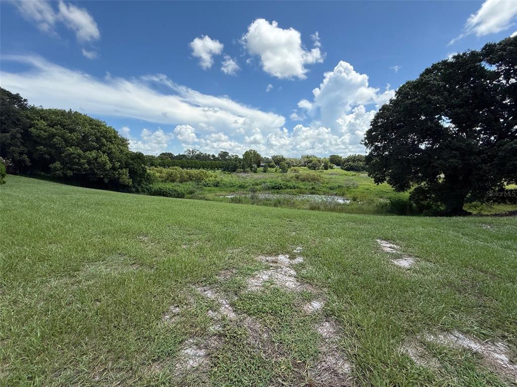 7319 Holiday Drive Spring Hill, FL 34606 - Photo 18 of 20 a view of a big yard with lots of green space