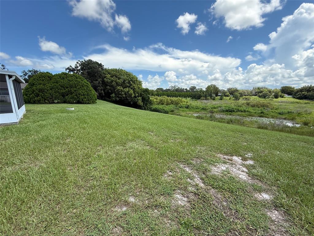 7319 Holiday Drive Spring Hill, FL 34606 - Photo 19 of 20 a view of an outdoor space and yard