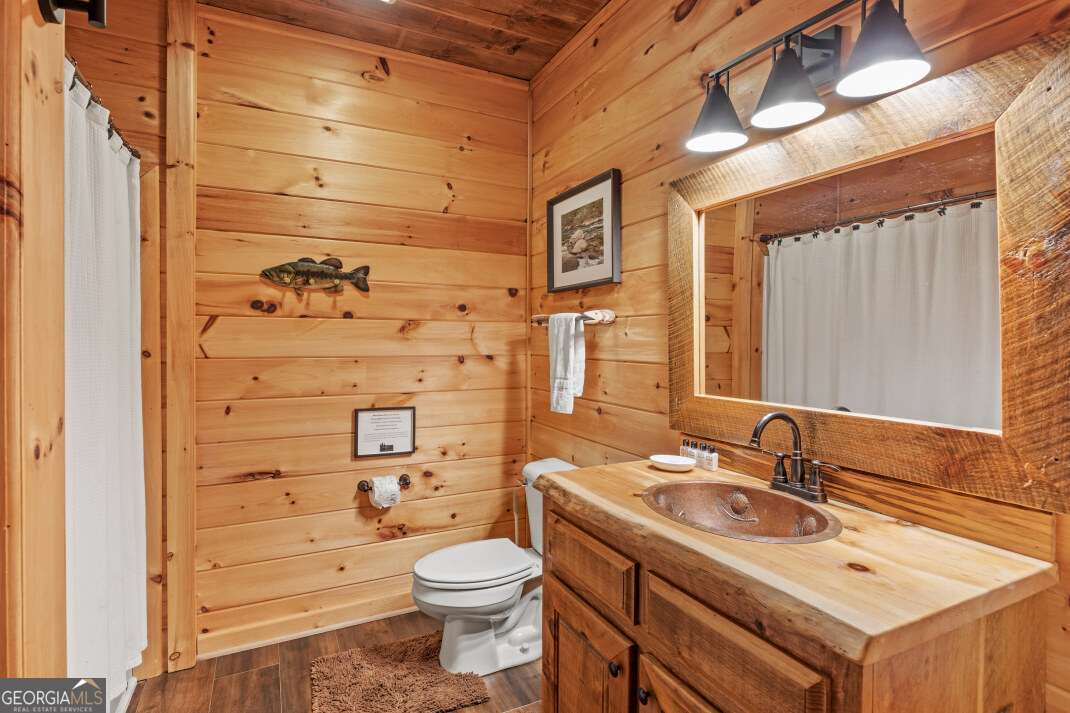 262 White Pine Acres Lane Blue Ridge, GA 30513 - Photo 27 of 35 Gallery Image 27