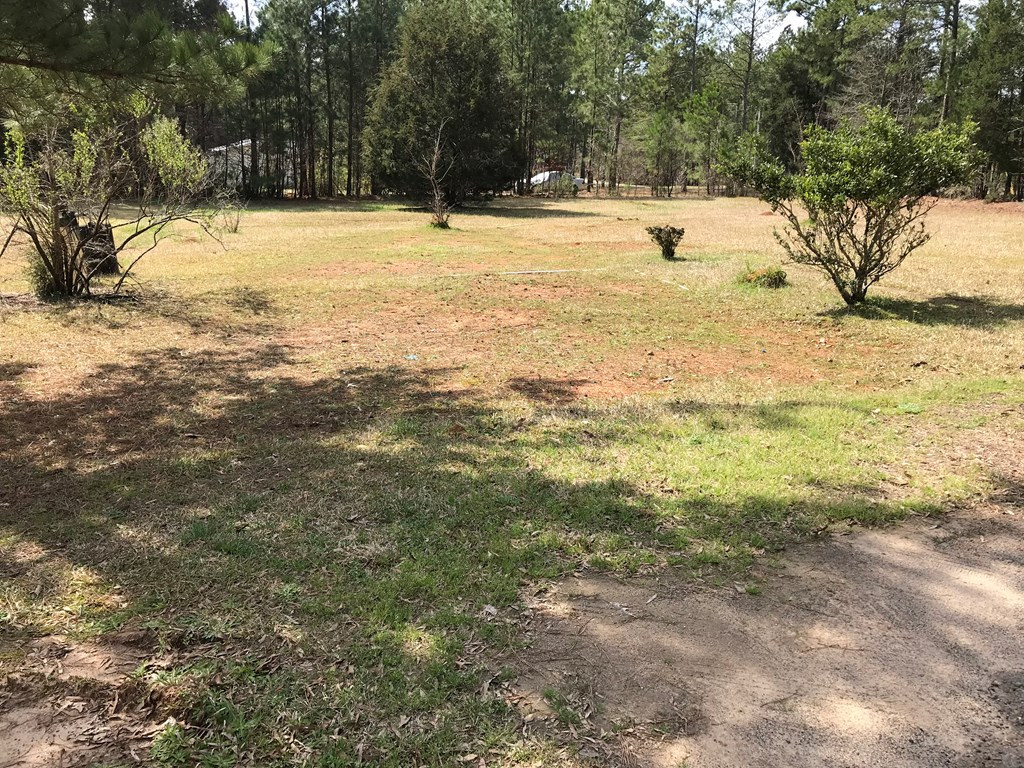 235 State Rd S-41-118 Saluda, SC 29138 - Photo 2 of 16
