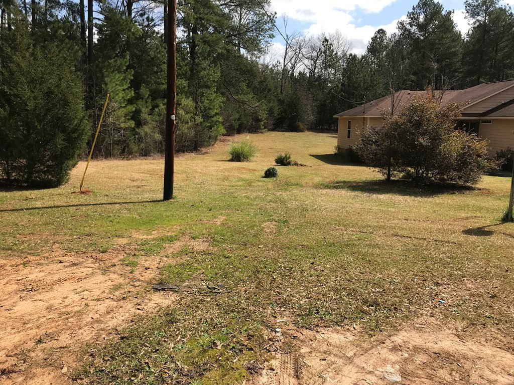 235 State Rd S-41-118 Saluda, SC 29138 - Photo 3 of 16