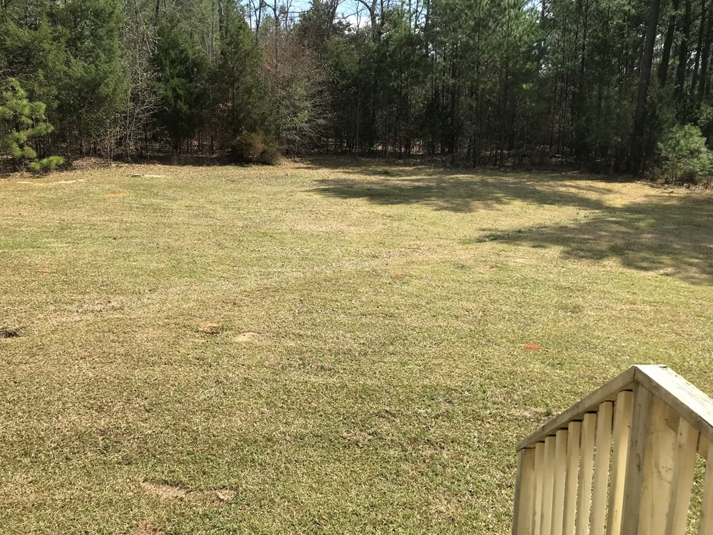 235 State Rd S-41-118 Saluda, SC 29138 - Photo 4 of 16