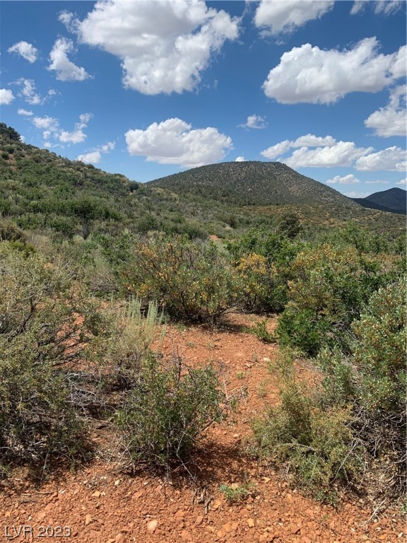 Lovell Summit Las Vegas, NV 89124 - Photo 14 of 19