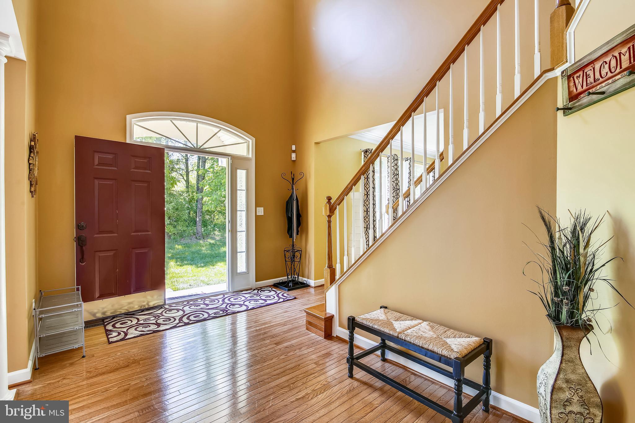 10819 Avonlea Ridge Place Damascus, MD 20872 - Photo 4 of 65 Private and Tranquil View From Your Front Door!